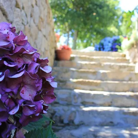 Maritimo Suites-solo Adultos Daire