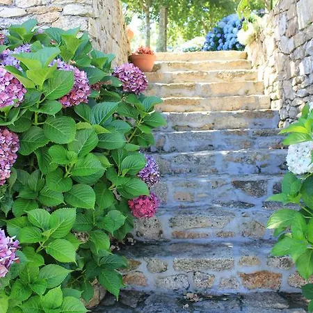 Daire Maritimo Suites-solo Adultos