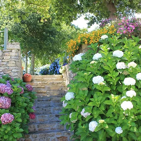 Maritimo Suites-solo Adultos O Grove