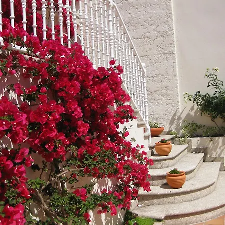 Maritimo Suites-solo Adultos O Grove
