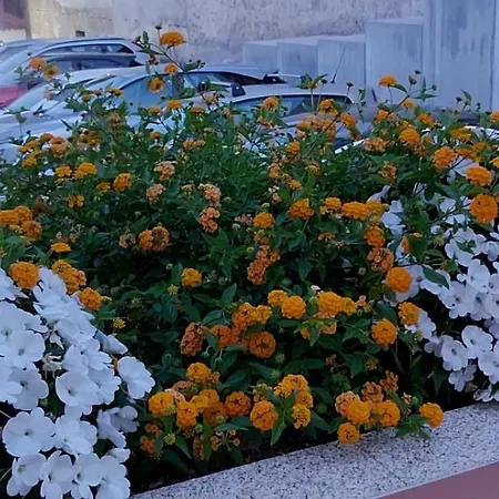 Daire Maritimo Suites-solo Adultos *