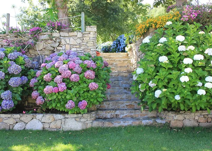 Maritimo Suites-solo Adultos 公寓 *