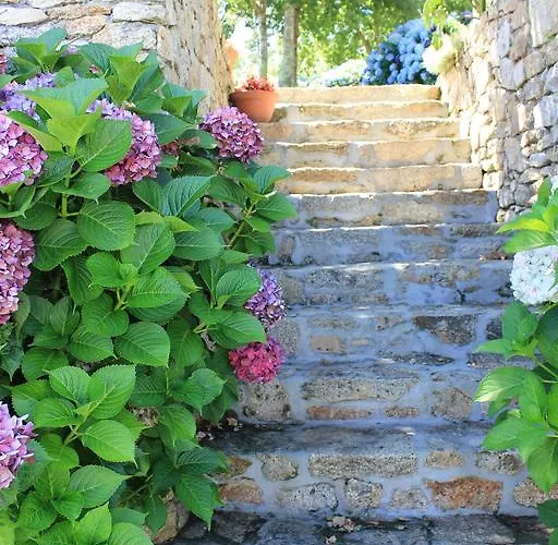 公寓 Maritimo Suites-solo Adultos