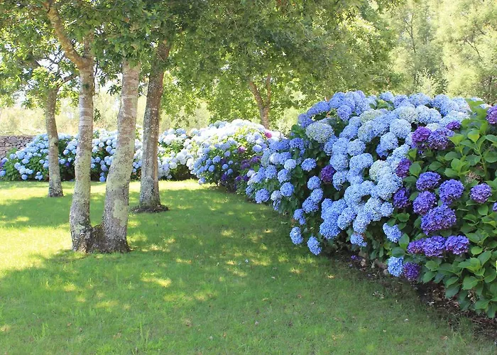 公寓 Maritimo Suites-solo Adultos