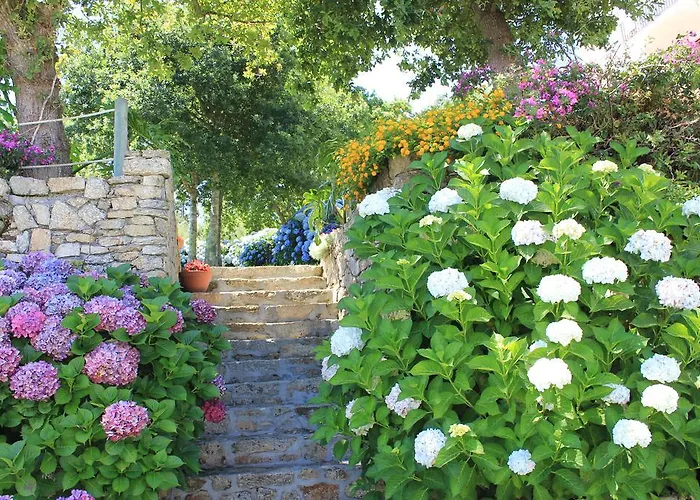 Maritimo Suites-solo Adultos 格罗韦