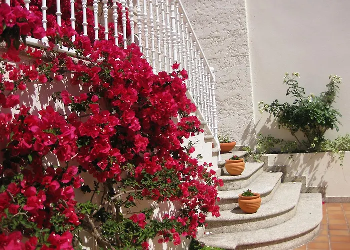 Maritimo Suites-solo Adultos 格罗韦