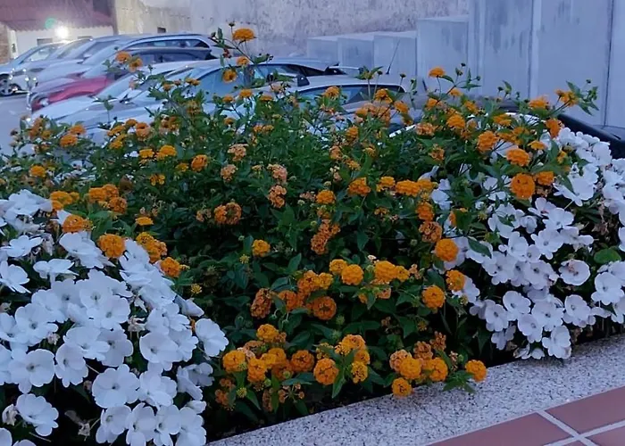 アパート Maritimo Suites-solo Adultos *