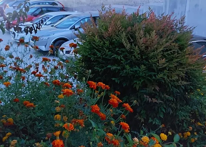 Maritimo Suites-solo Adultos