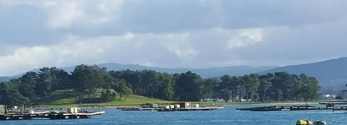 公寓 Maritimo Suites-solo Adultos 格罗韦