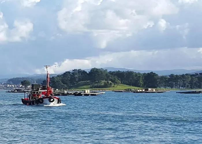 Maritimo Suites-solo Adultos *